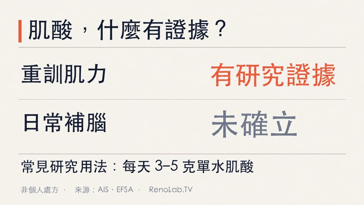 肌酸用途證據比較:重訓肌力有研究證據,日常補腦尚未確立
