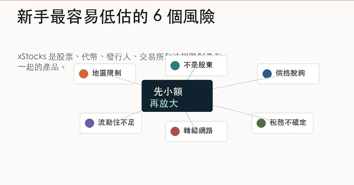 Bybit xStocks 主要風險地圖,包含地區限制、無股東權利、脫鉤、流動性與轉帳網路