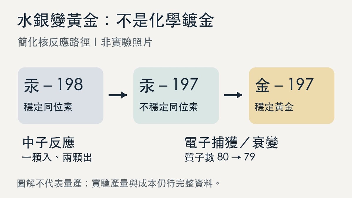 汞198經中子反應成汞197，再經電子捕獲成金197的簡化流程