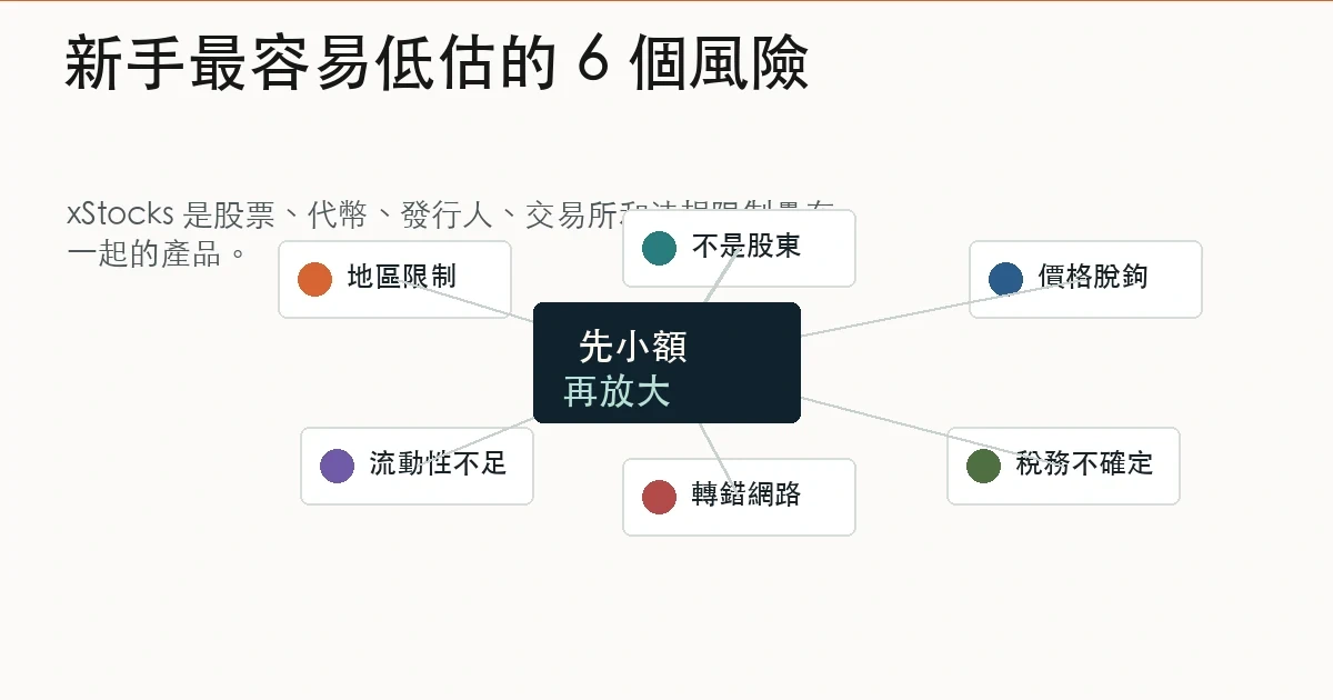 Bybit xStocks 主要風險地圖,包含地區限制、無股東權利、脫鉤、流動性與轉帳網路